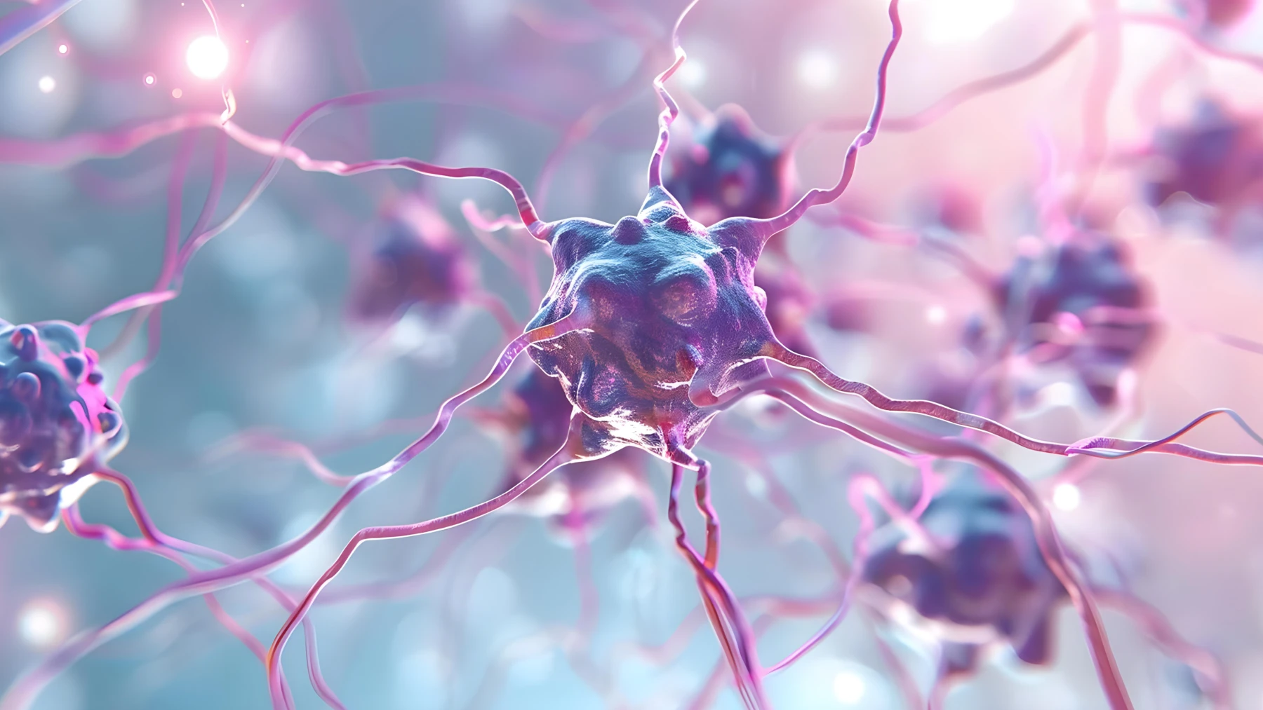 Neuroplastičnost i vežbanje